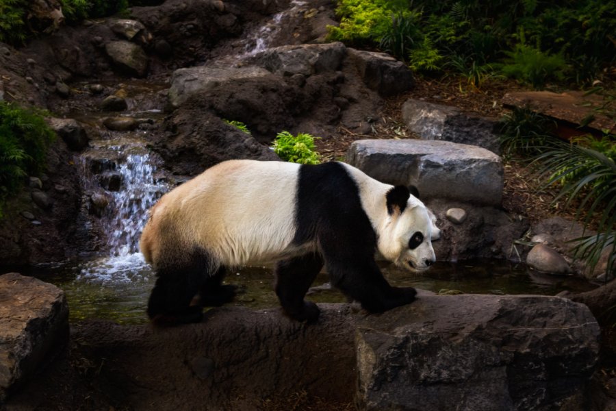 CALGARY ZOO