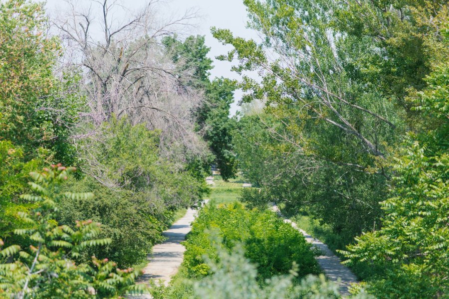 JARDIN BOTANIQUE