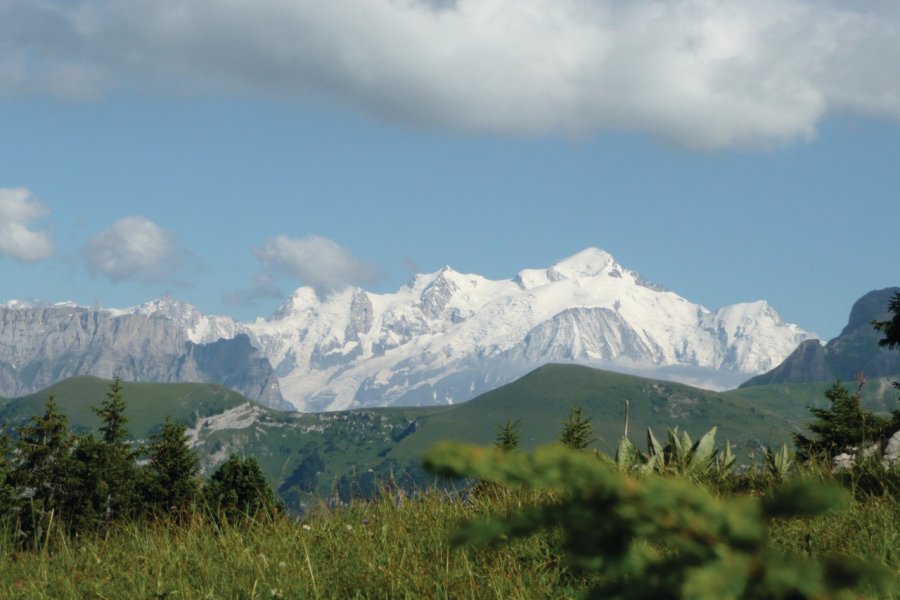 Alpage du Mont d'Arbois près de Megève Françoise AUGERIO