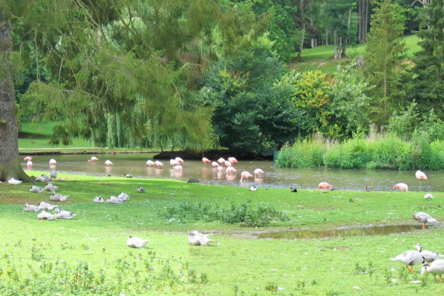 PARC DE CLÈRES