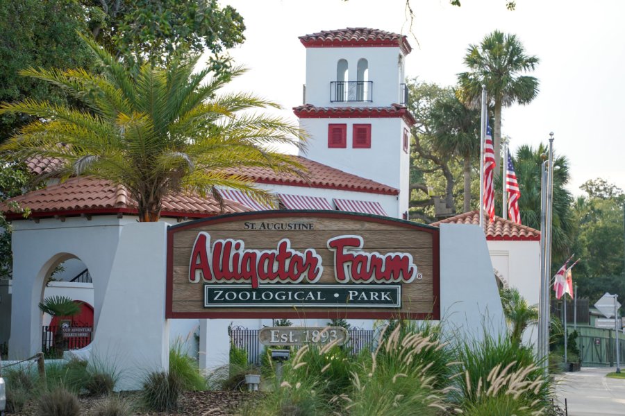 ALLIGATOR FARM