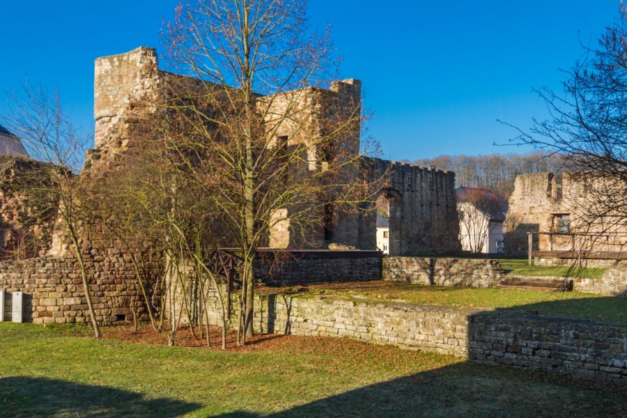 RUINES DU CHÂTEAU DE PETTINGEN