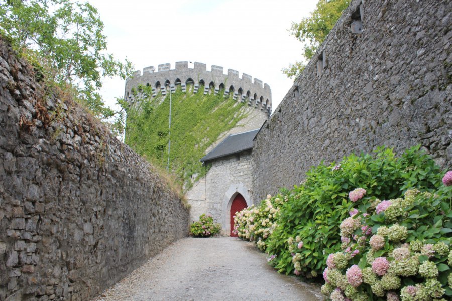 CHÂTEAU DE MIOLANS