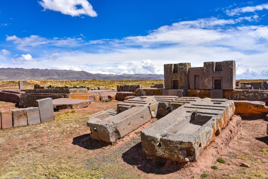 PUMA PUNKU