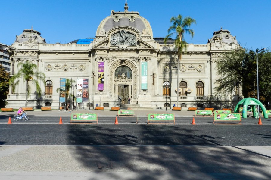 MUSEO DE BELLAS ARTES