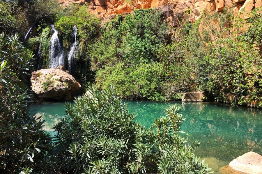 PARC NATIONAL DE TLEMCEN