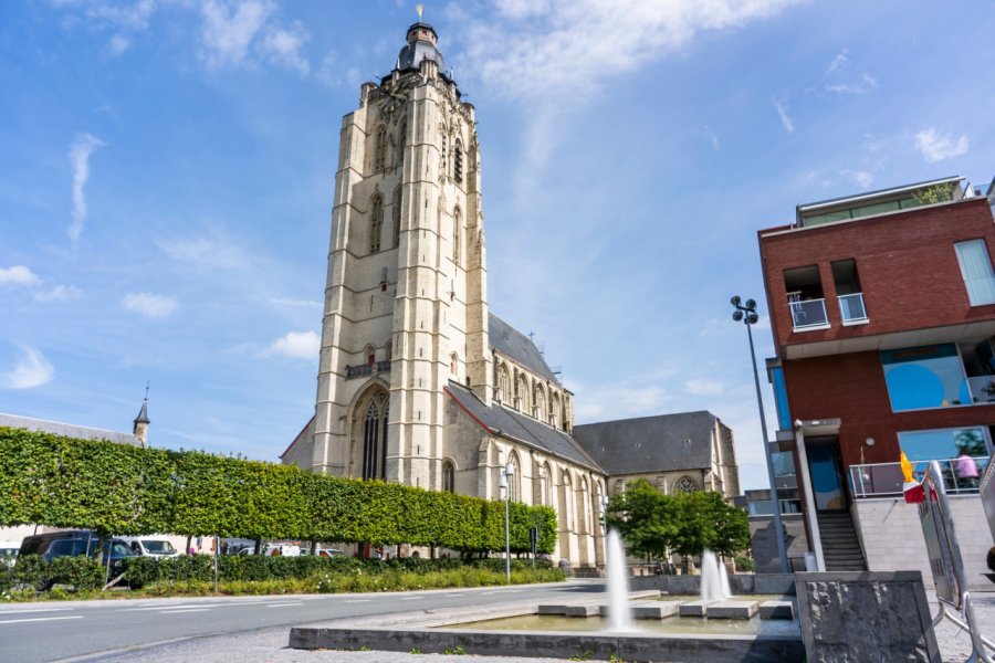 COLLEGIALE SAINTE-WALBURGE