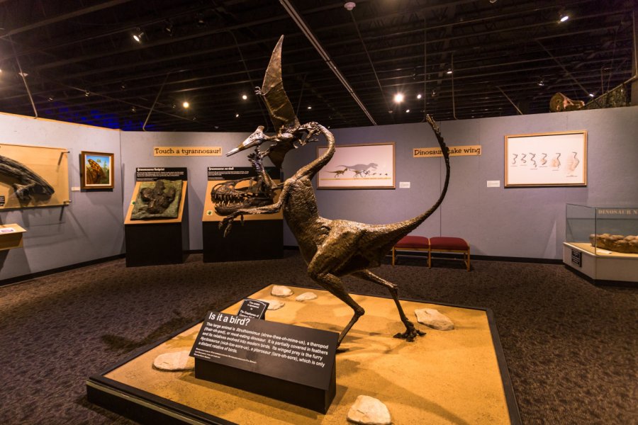 MESALANDS DINOSAUR MUSEUM