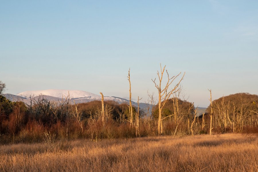 YNYS-HIR NATURE RESERVE