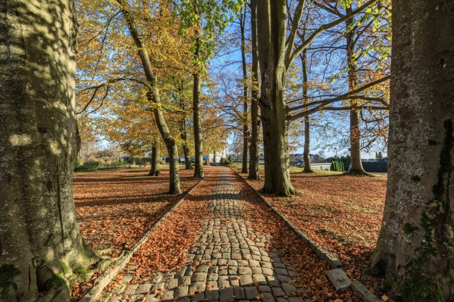 AGDER NATURMUSEUM OG BOTANISKE HAGE