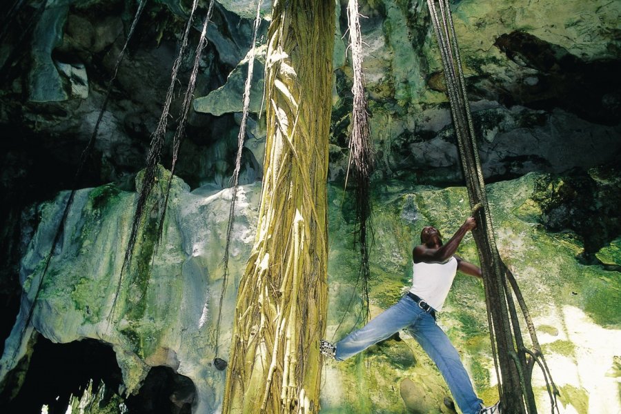 Grotte du parc national Los Haïtises. Sir Pengallan - Iconotec