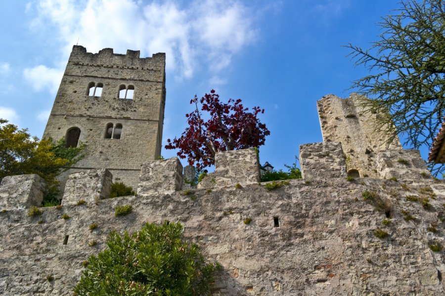 CASTELLO DI SAN MARTINO