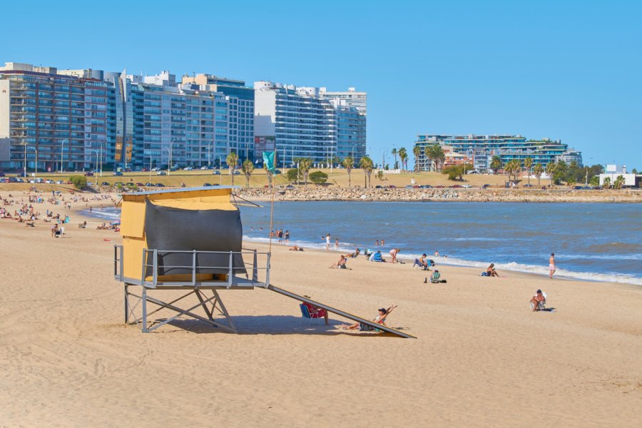 PLAYA DE LOS POCITOS