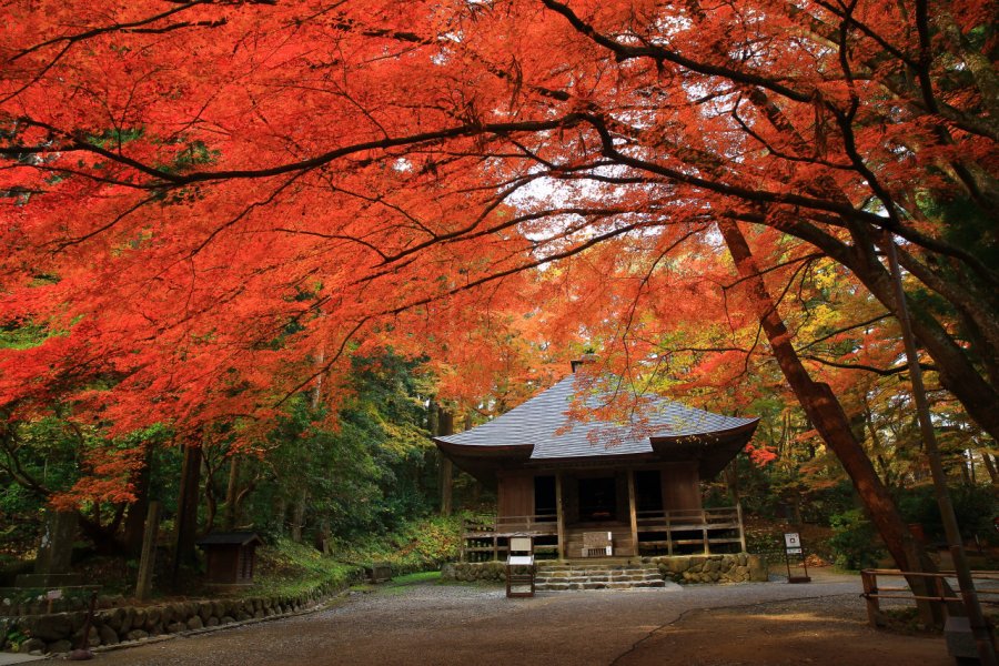 CHUSON-JI