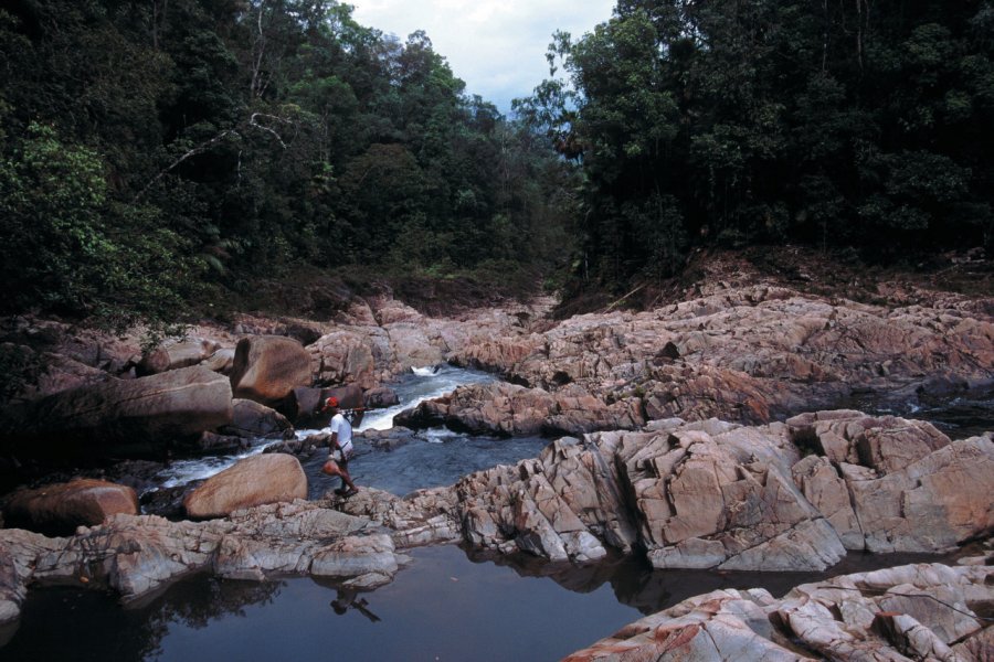 Cascades rocheuses du Endau-Rompi National Park Tourism Malaysia
