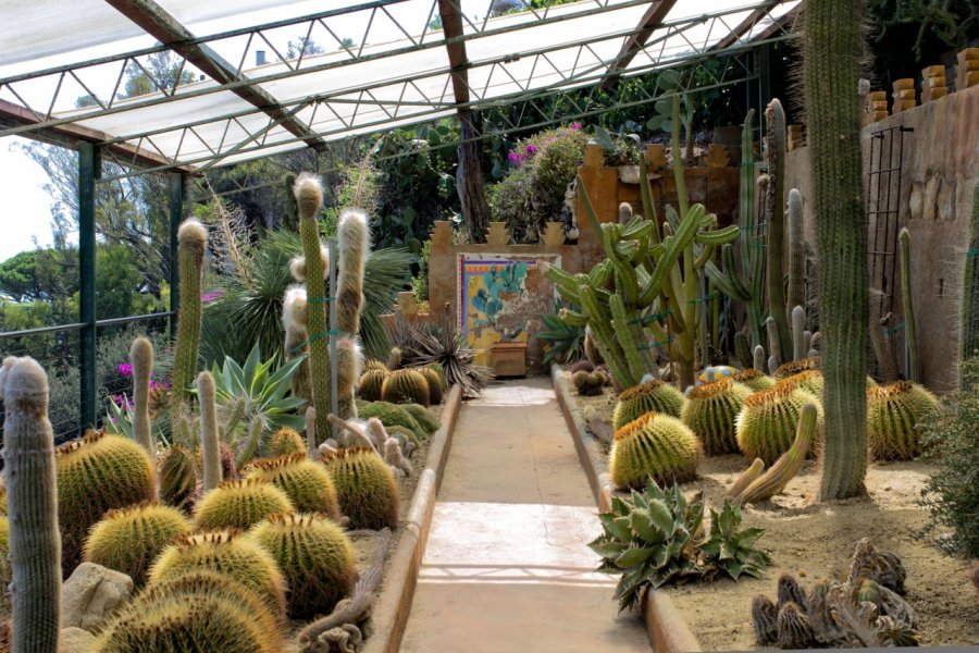 GIARDINO ESOTICO PALLANCA