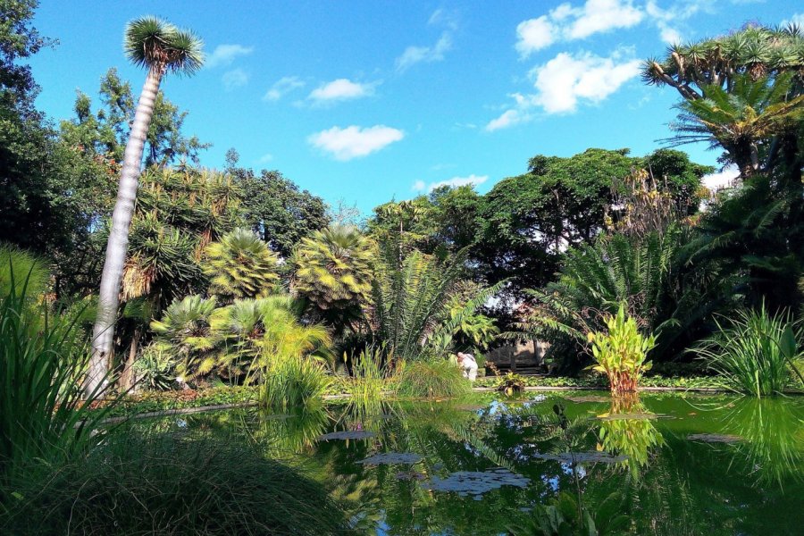 JARDIN BOTANICO