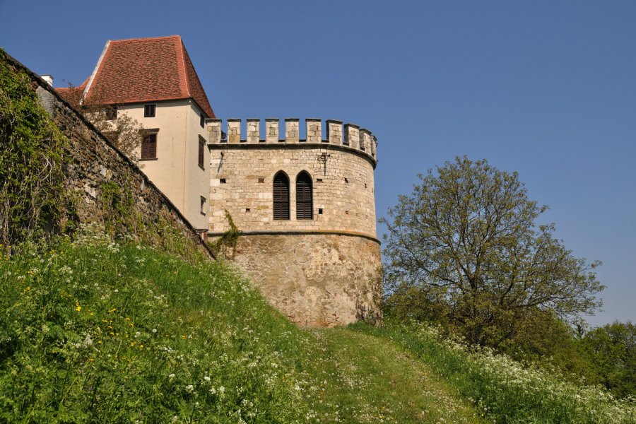 CHÂTEAU DE SEGGAU (SCHLOSS SEGGAU)
