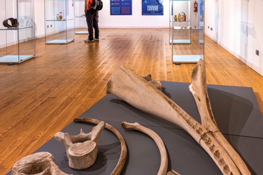 MUSÉE DES BALEINIERS