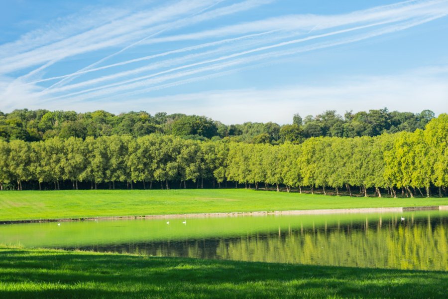 LA FORÊT DE VERSAILLES