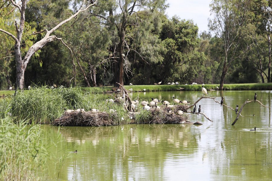 TARONGA WESTERN PLAINS ZOO