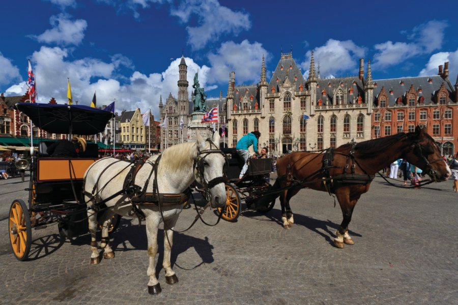 Grand-Place (Grote Markt). Lawrence BANAHAN - Author's Image