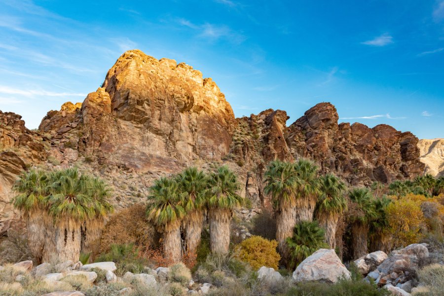 INDIAN CANYONS AND PALM CANYON