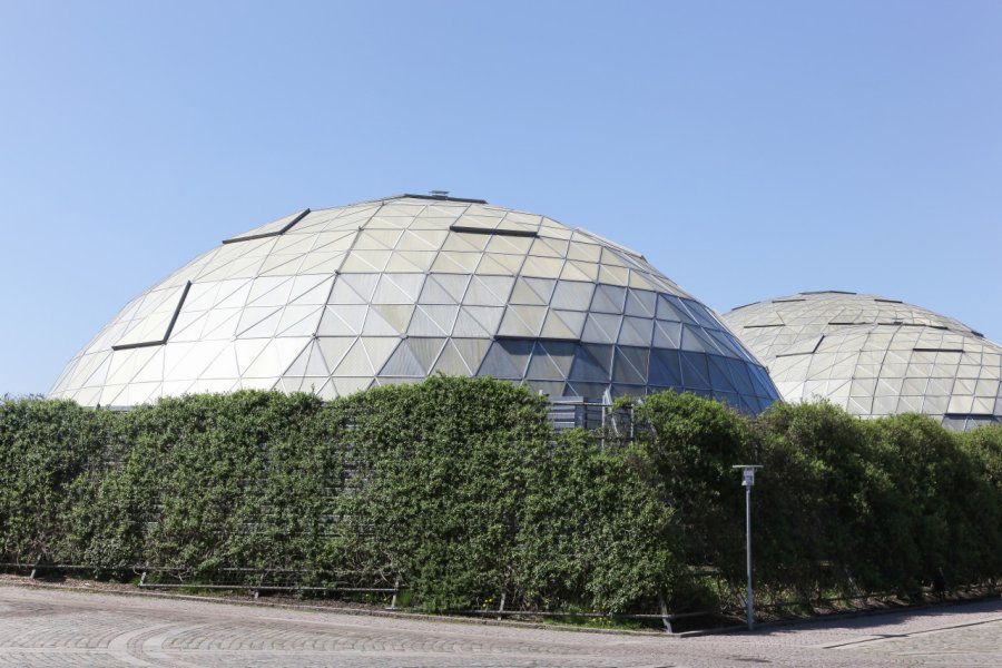 FORÊT TROPICALE DE RANDERS (RANDERS REGNSKOV)