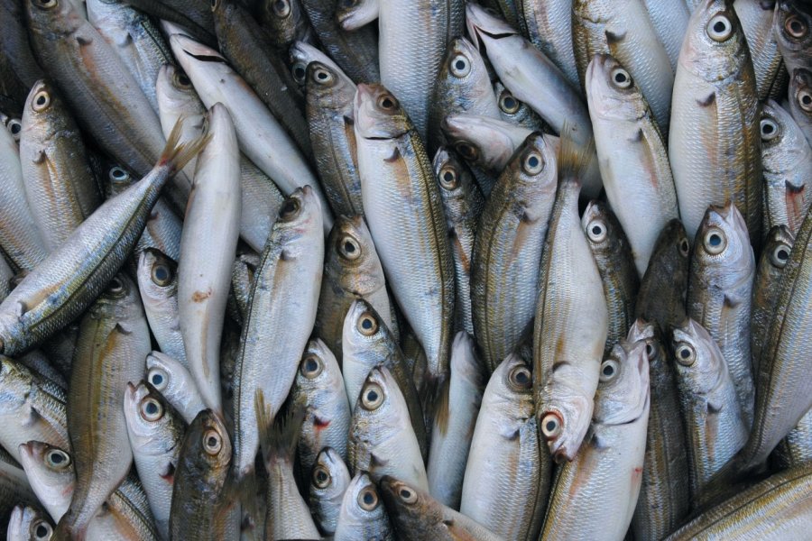 Etal de sardines au marché de Marsala. Picsofitalia.com