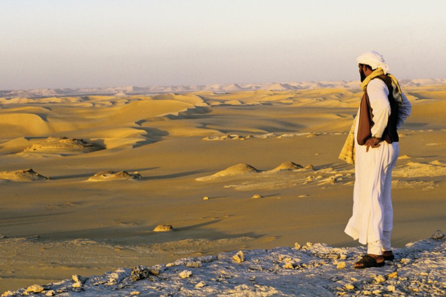 La mer de sable du désert Libyque. Ismaël Schwartz - Iconotec