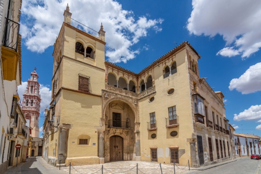 PALAIS DE VALDEHERMOSO