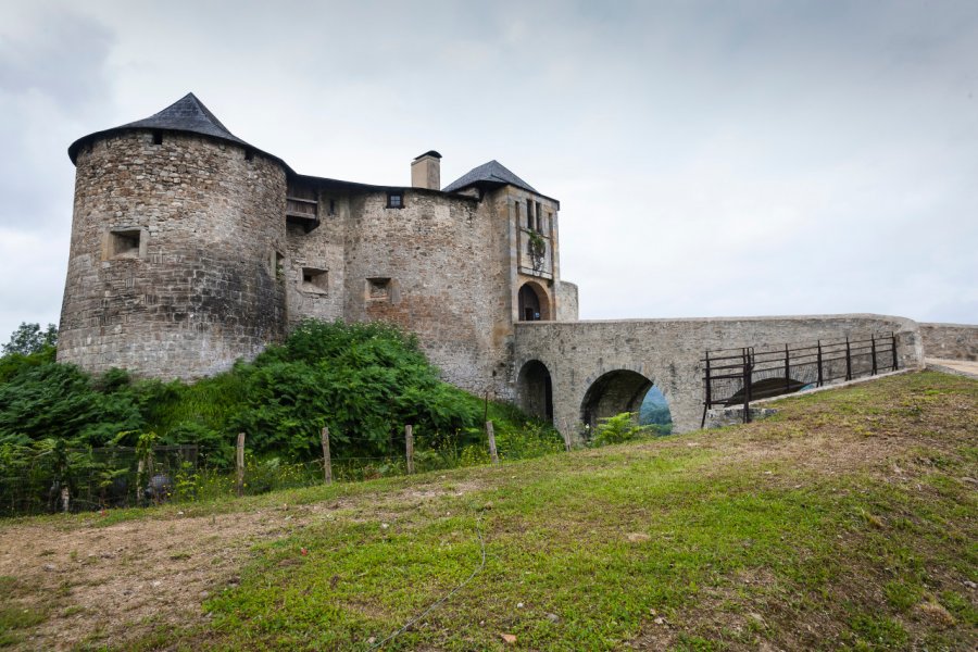 CHÂTEAU FORT DE MAULÉON