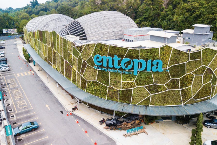 ENTOPIA BY PENANG BUTTERFLY FARM