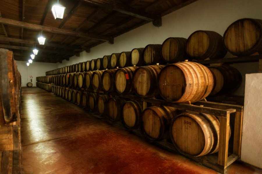 HACIENDA DE SAN LORENZO (CASA MADERO)