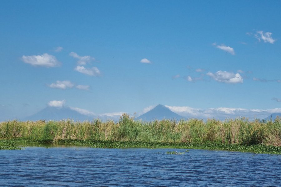 RESERVA NATURAL MONTERRICO