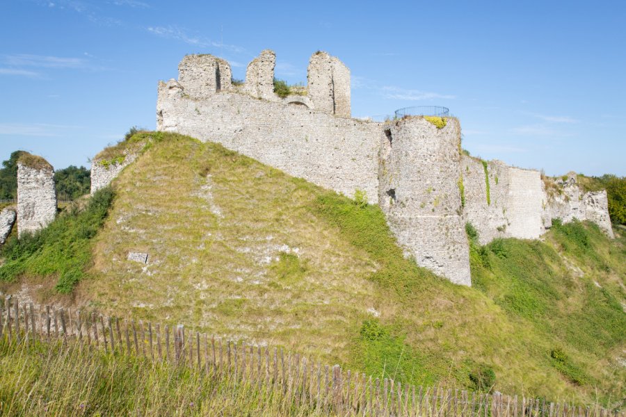 RUINES DU CHÂTEAU D'ARQUES-LA-BATAILLE