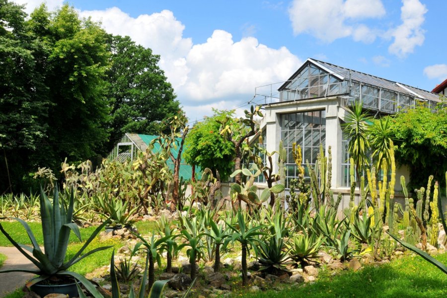 JARDIN BOTANIQUE DE CLUJ-NAPOCA
