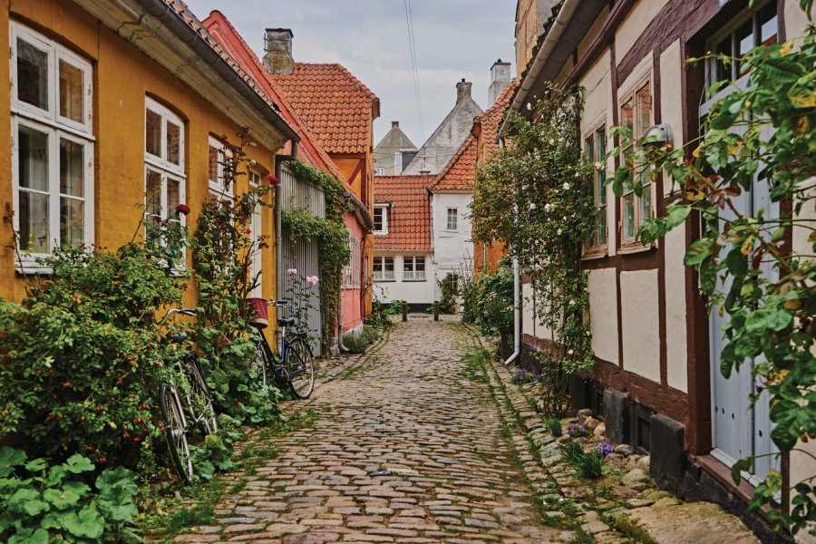 Les petites rues pavées d'Helsingor Joshua Tindall
