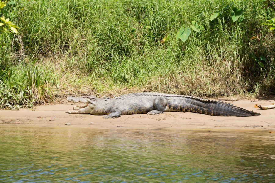 DAINTREE RIVER CRUISE CENTRE