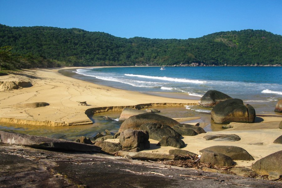 PARNAIOCA