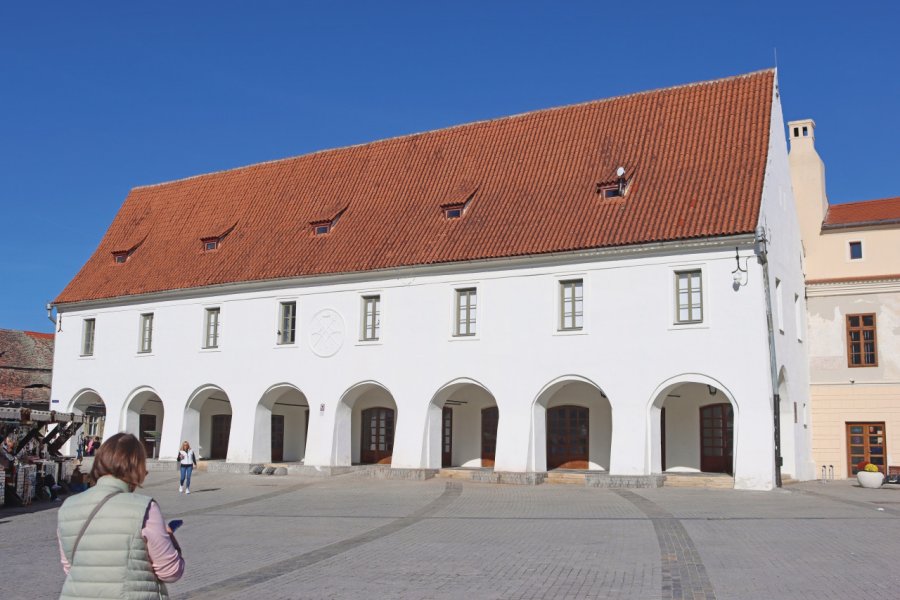MAISON DES ARTS (CASA ARTELOR)