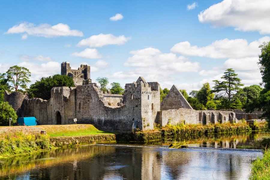DESMOND CASTLE & INTERNATIONAL MUSEUM OF WINE