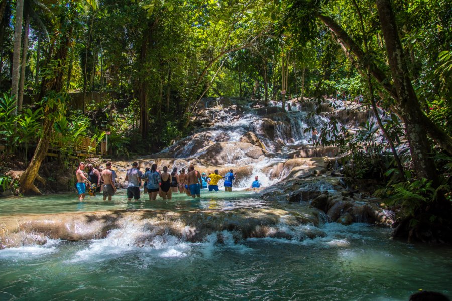 DUNN'S RIVER FALLS