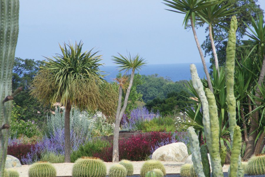 PARC GALEA