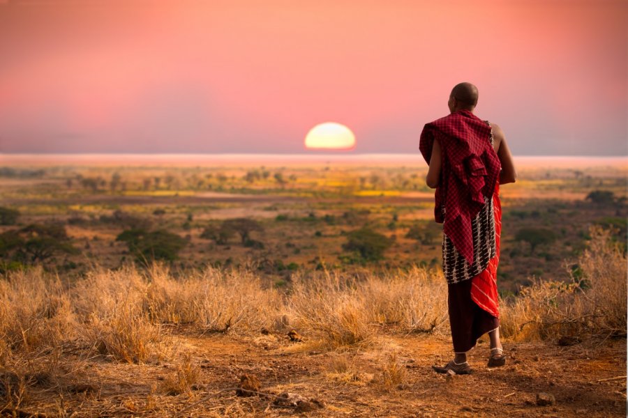 Serengeti National Park. Jo Crebbin / Shutterstock.com