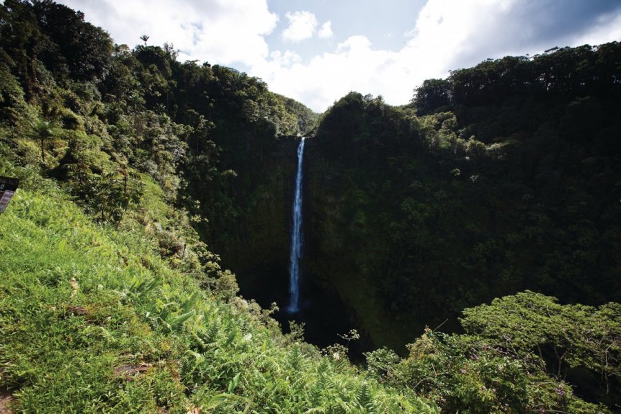 Akaka Falls. Hawaii Tourism Authority (HTA) / Tor Johnson
