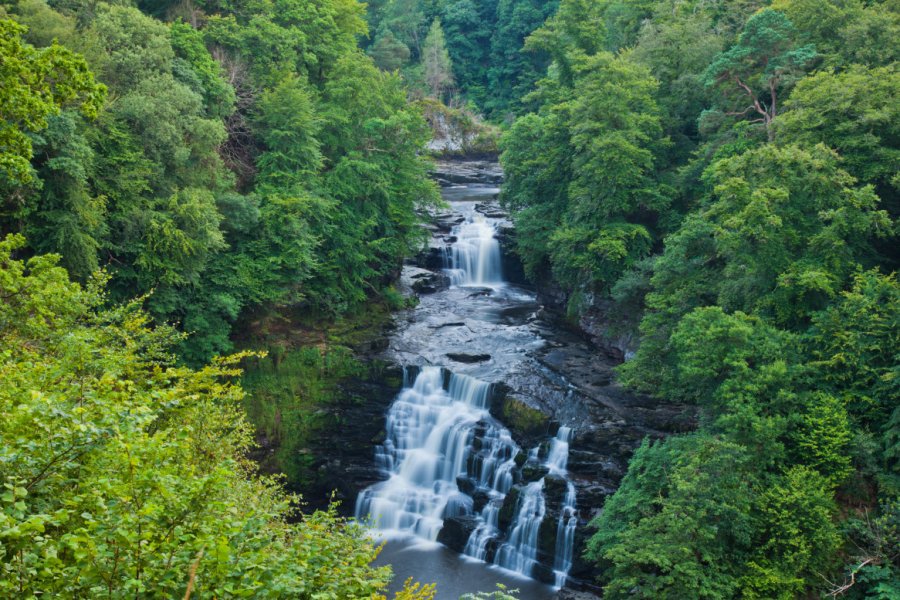 FALLS OF CLYDE WILDLIFE RESERVE