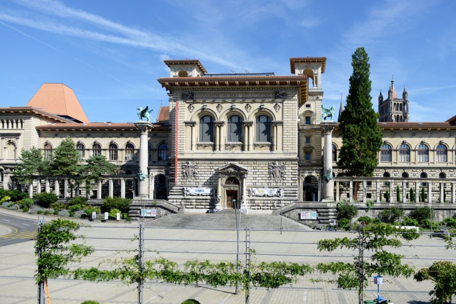 NATUREUM MUSEE DES SCIENCES NATURELLES GEOLOGIE