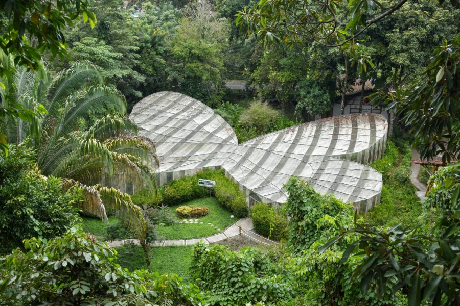 JARDÍN BOTÁNICO DEL QUINDÍO