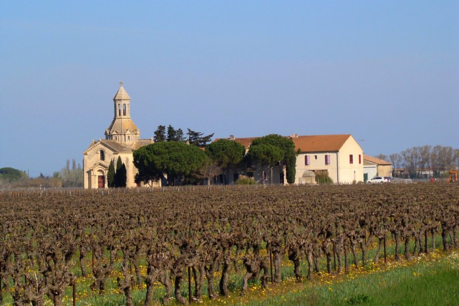 Vignoble et chapelle de Vauvert. Daniel Laurent - Fotolia